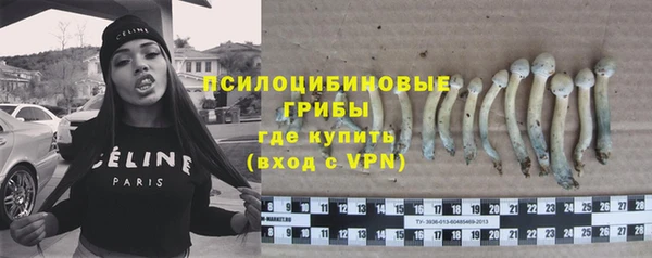 прущий лед Нефтегорск
